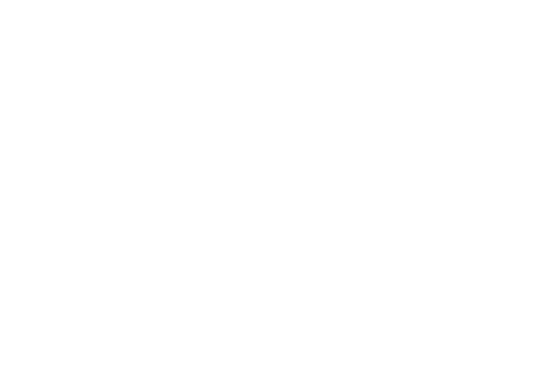 White TV icon